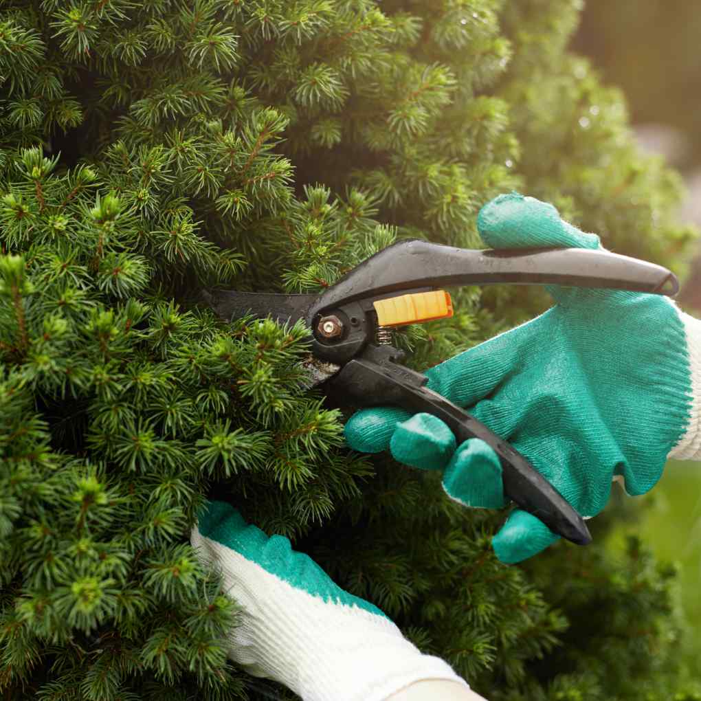 Full-Service Landscaping on Martha’s Vineyard