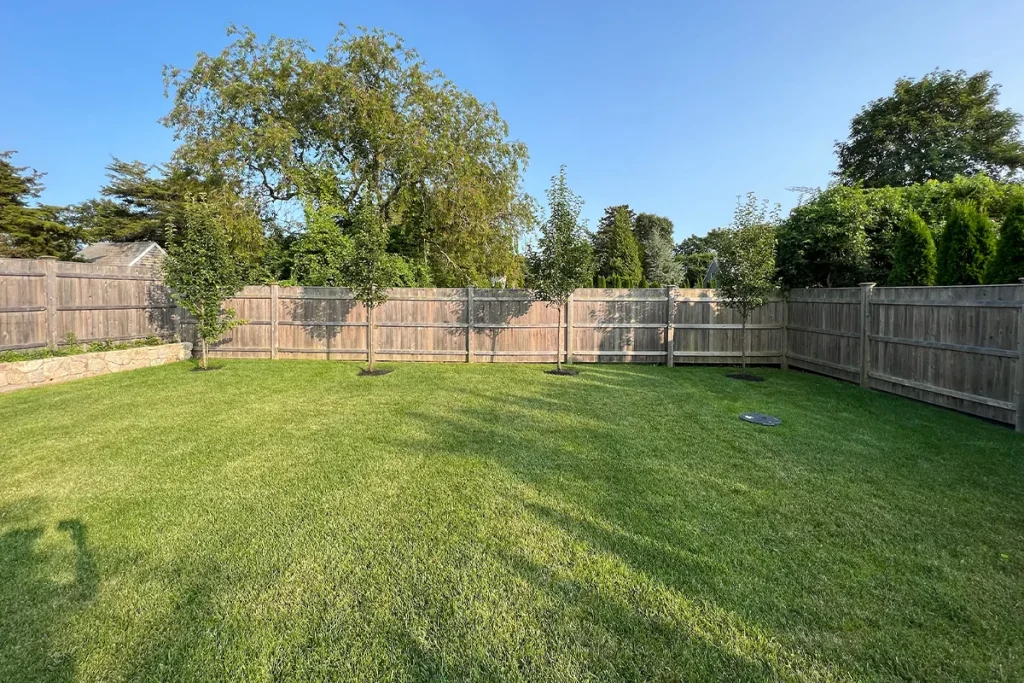 Healthy lawn after early fall repair on Martha’s Vineyard