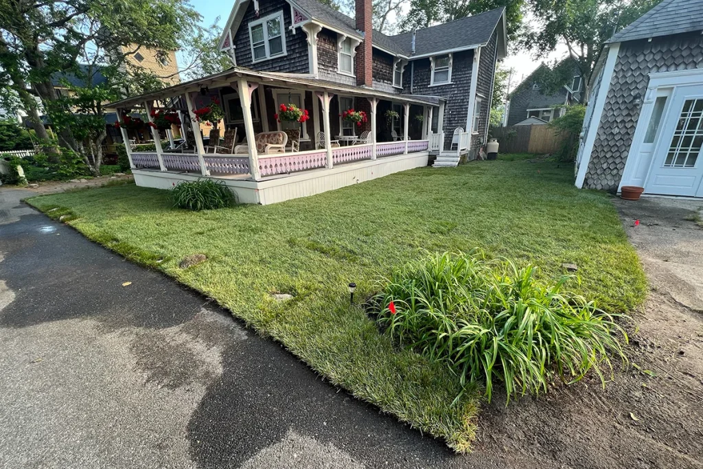 SOD lawn project finished