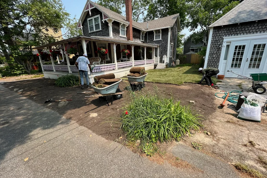 SOD lawn in the process