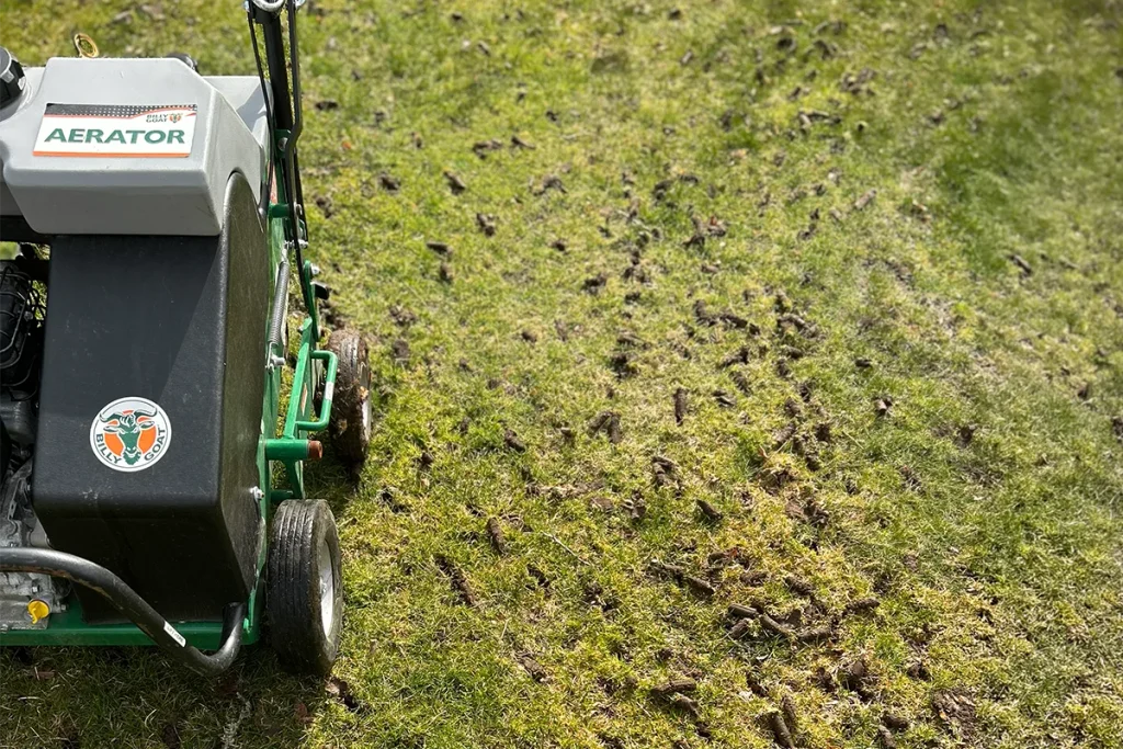 Aeration during the early fall lawn repair window on Martha's Vineyard