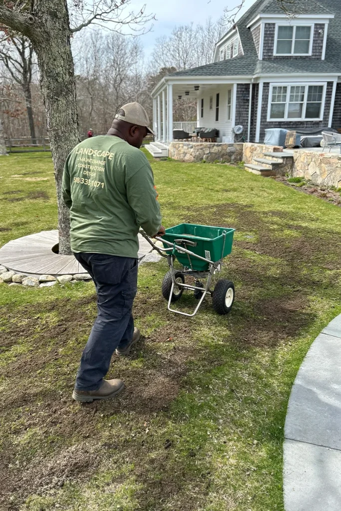 Early fall top dressing after lawn aeration on Martha’s Vineyard