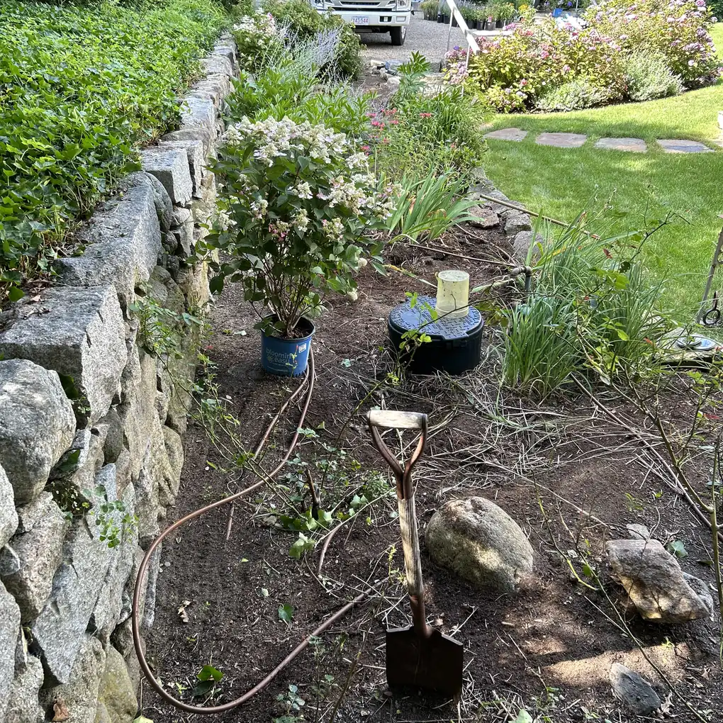 New garden bed being planted beside a stone wall with a potted hydrangea