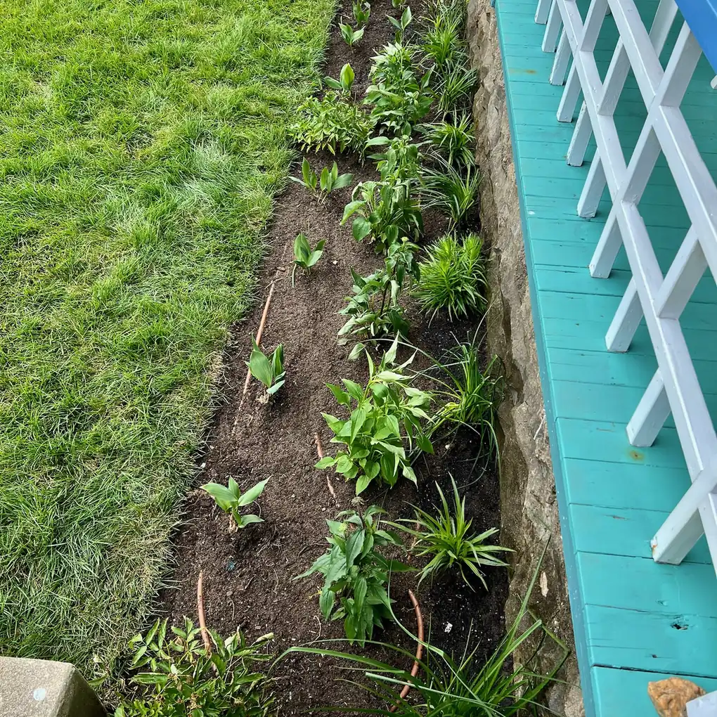 Newly planted perennial bed along a porch with a stone foundation