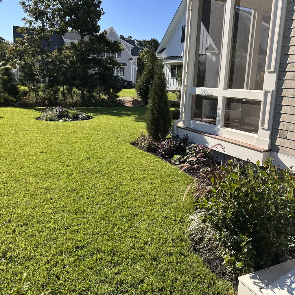 Shrubs, grasses and an upright evergreen along a house with a screened porch