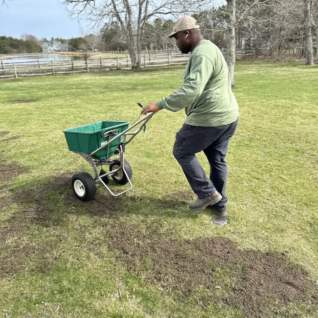 Crew member overseeding a thin lawn with a broadcast spreader