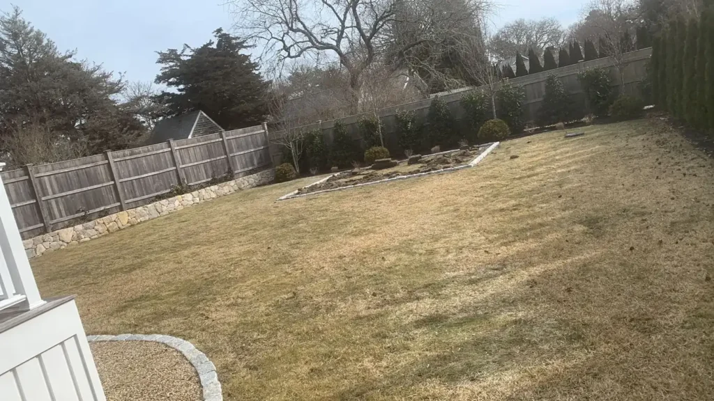 Dry, thin lawn along a fence before renovation