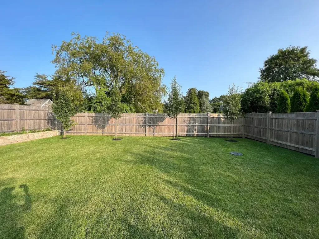 Established backyard lawn with a privacy fence and young trees