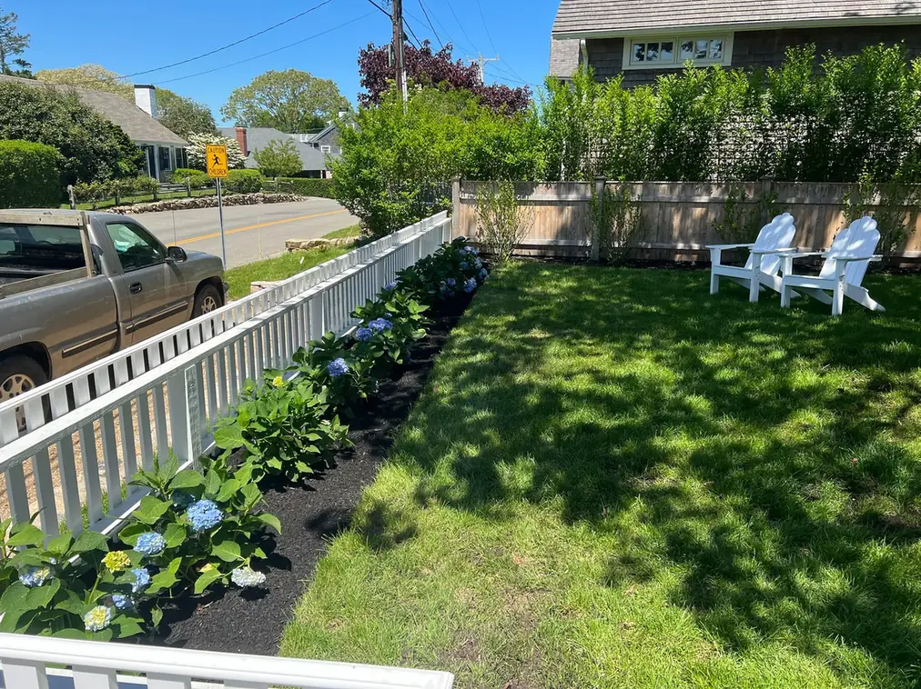 Hydrangea border and lawn along a white picket fence