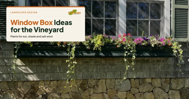 Window Box Ideas for Martha’s Vineyard Homes: Flowers, Irrigation & Bird-Friendly Design
