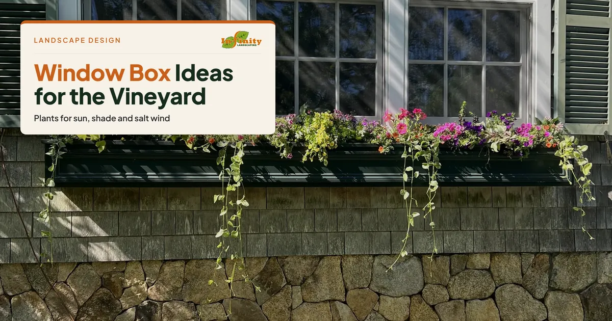 Summer window box with trailing plants under triple windows on a shingled house