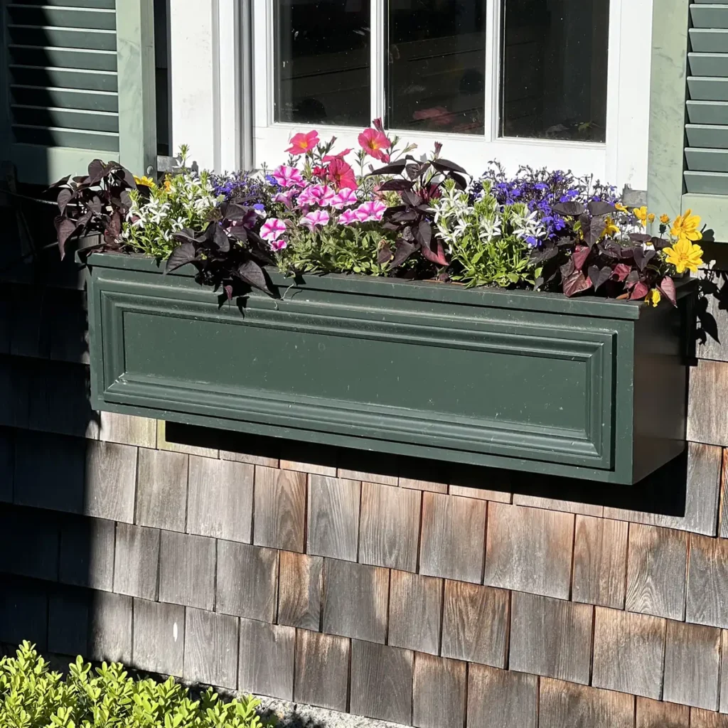 Window box with purple coleus foliage and petunias on a shingled wall