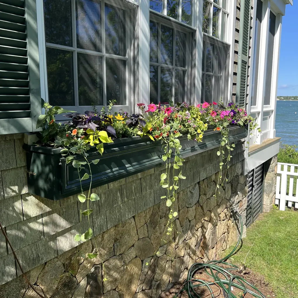 Window box with trailing flowers on a waterfront house above a stone foundation
